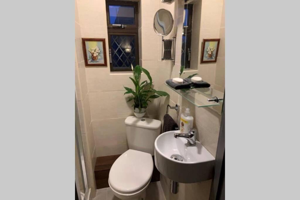 Upstairs Studio - Private Kitchenette And Small En-Suite Dublin Exterior foto