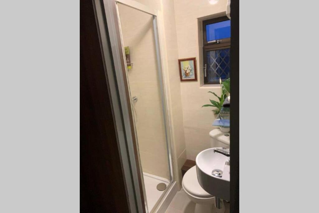 Upstairs Studio - Private Kitchenette And Small En-Suite Dublin Exterior foto